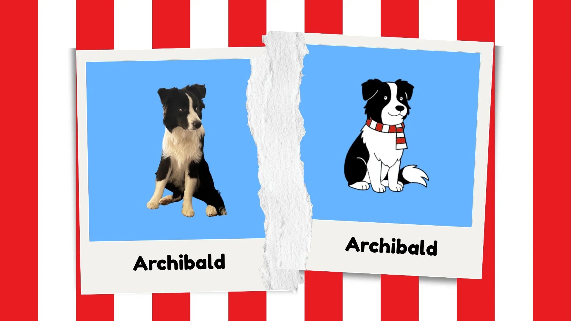Avant / après — Archibald, le chien