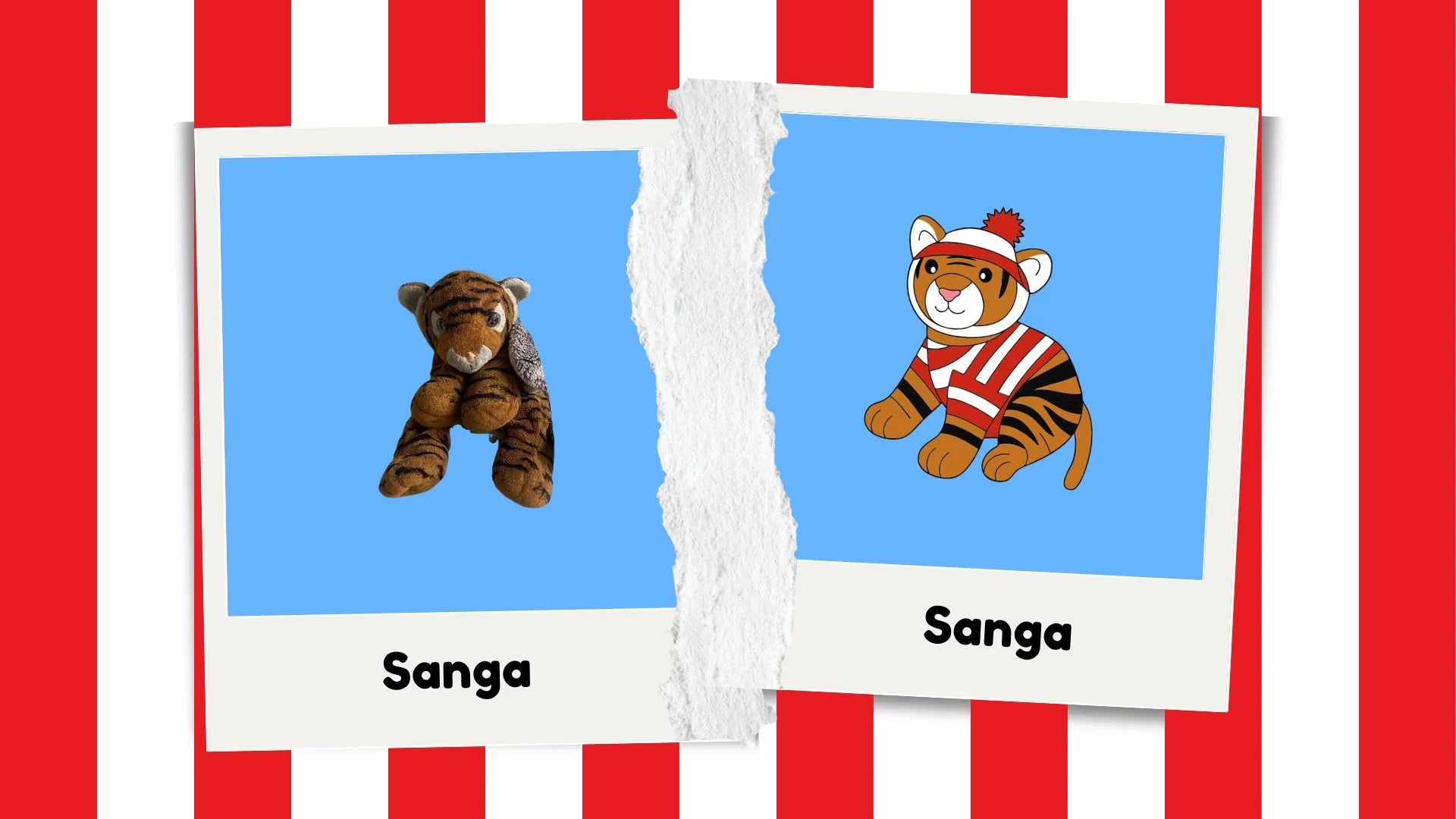 Avant / après — Sanga, la peluche tigre