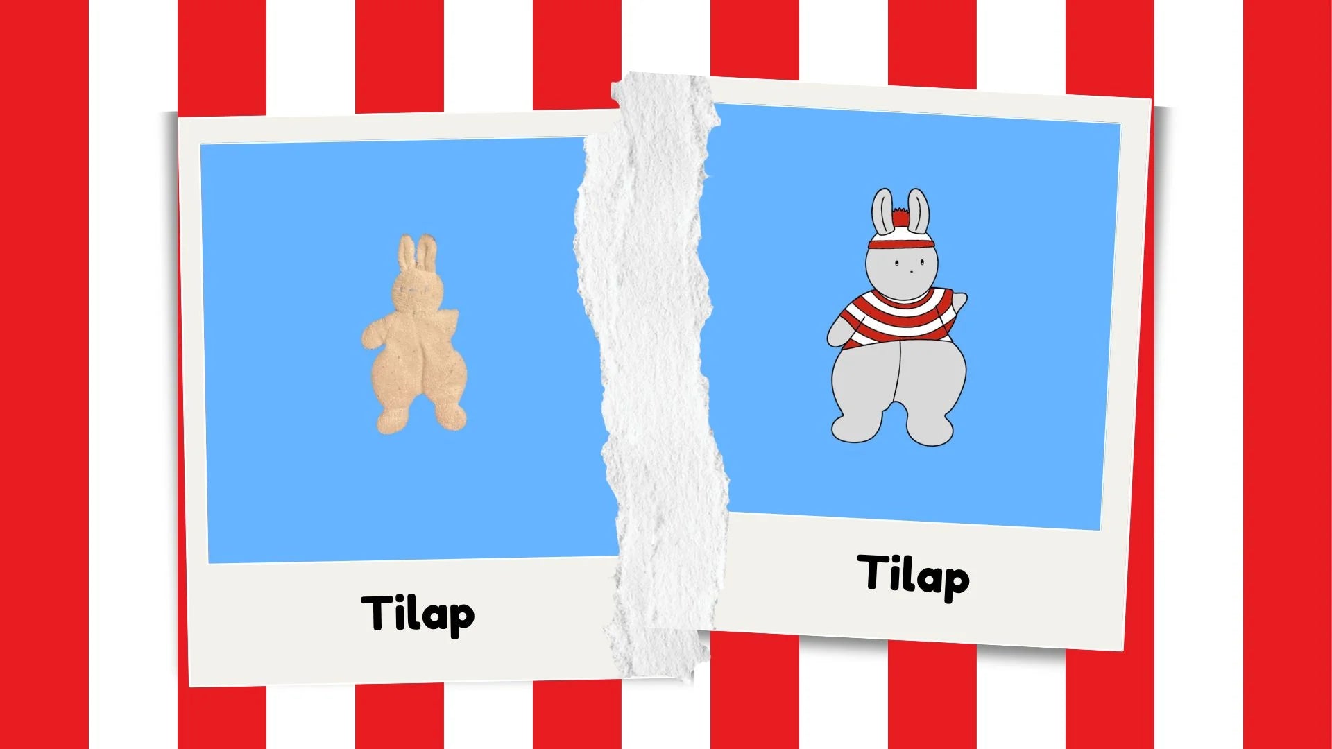 Avant / après — Tilap, la peluche lapin